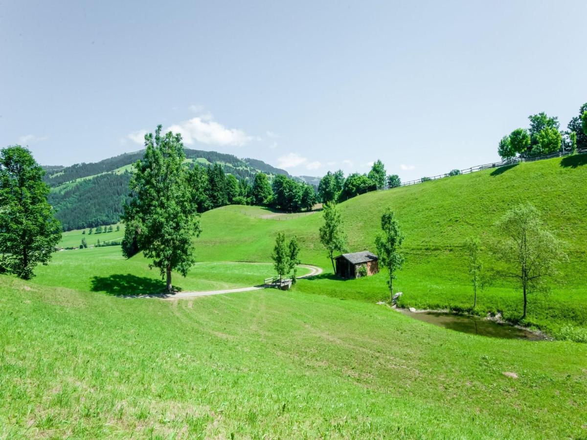 Cosy Flat In Westendorf In Tyrol Holzham Exteriér fotografie